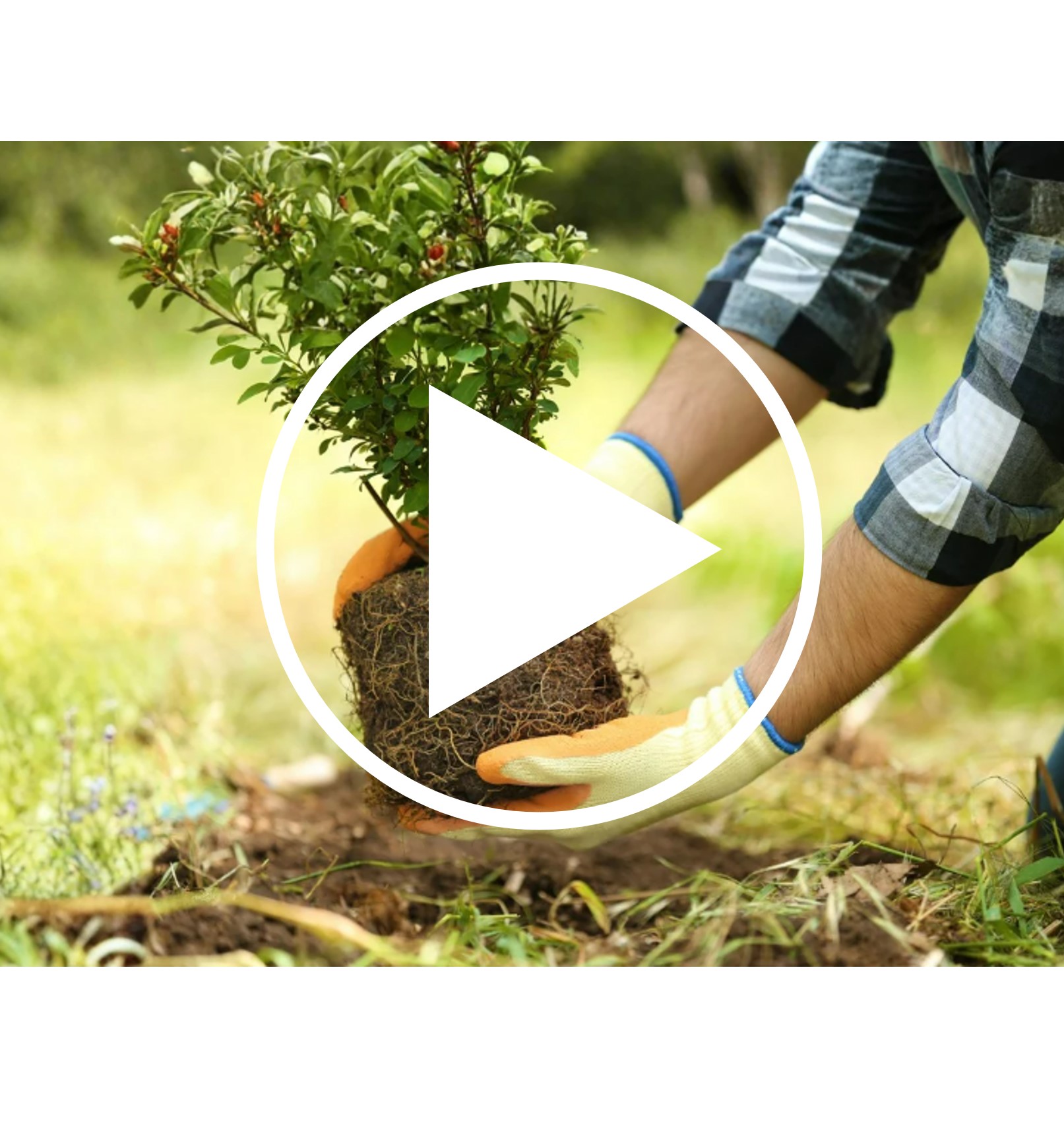 Global Factor Marketo.jpg